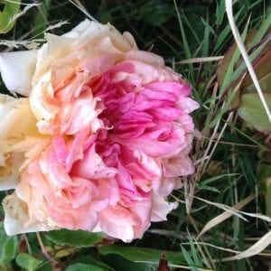 E. Veyrat Hermanos